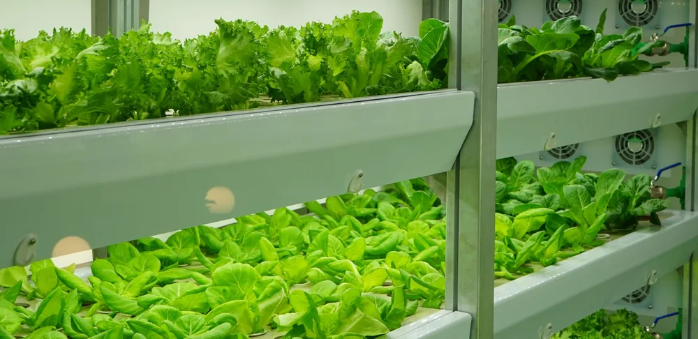 Banner Sustainable farming
