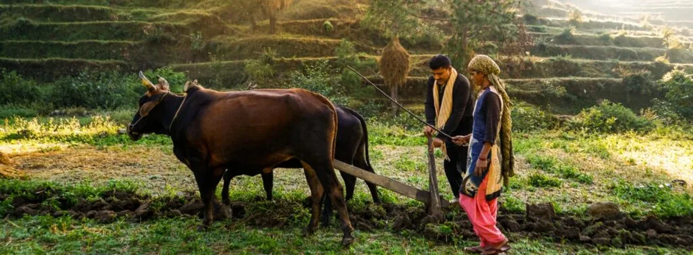 Sustainable farming