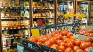 Sample : Indian FMCG Family Business 1